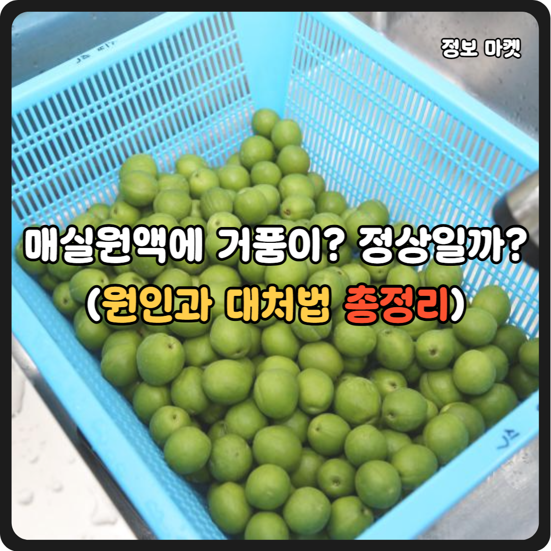 매실원액에 거품이? 정상일까? (원인과 대처법 총정리)