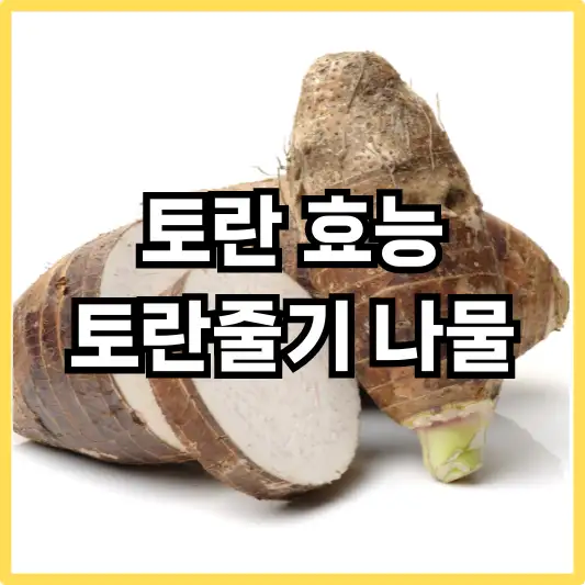 토란