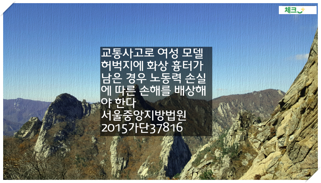 교통사고로 여성 모델 허벅지에 화상 흉터가 남은 경우 노동력 손실에 따른 손해를 배상해야 한다