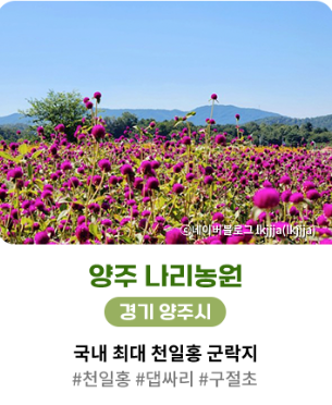 양주 나리공원