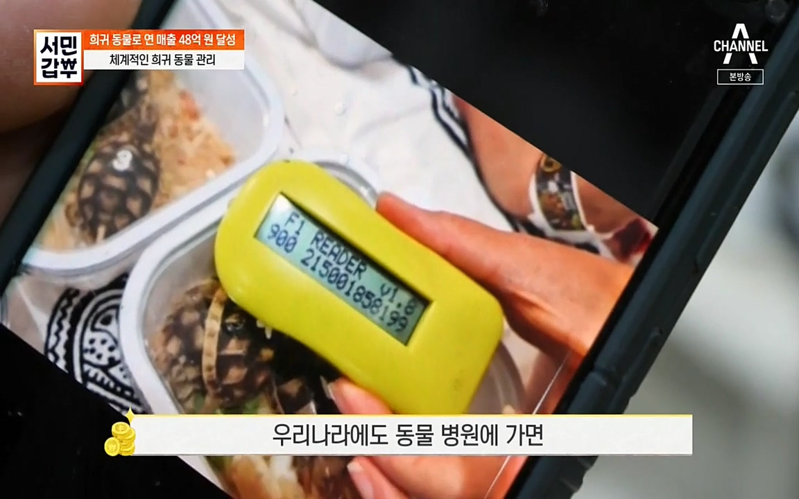 서민 갑부.E381.220431p-NEXT.mp4_20220501_174838.600.jpg