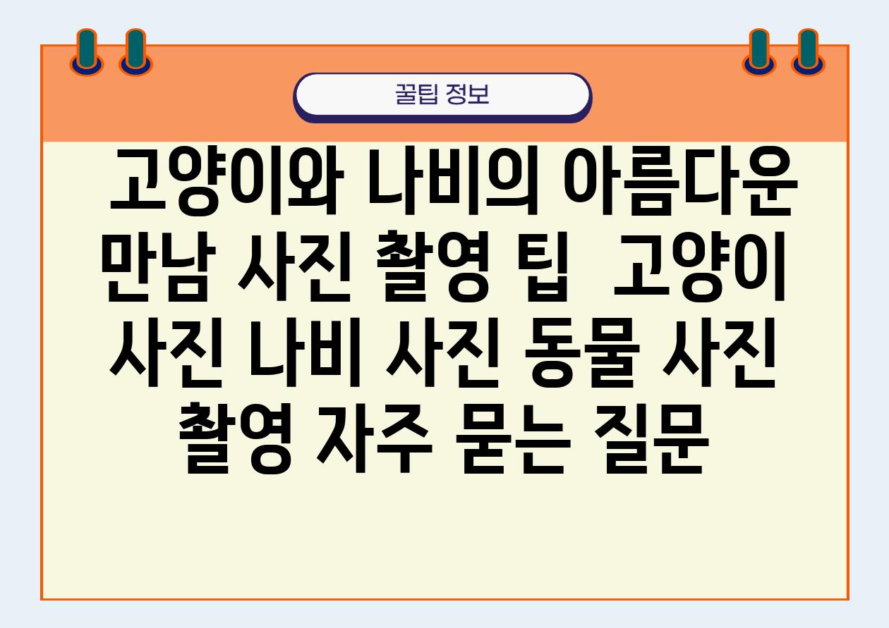  고양이와 나비의 아름다운 만남 사진 촬영 팁  고양이 사진 나비 사진 동물 사진 촬영 자주 묻는 질문