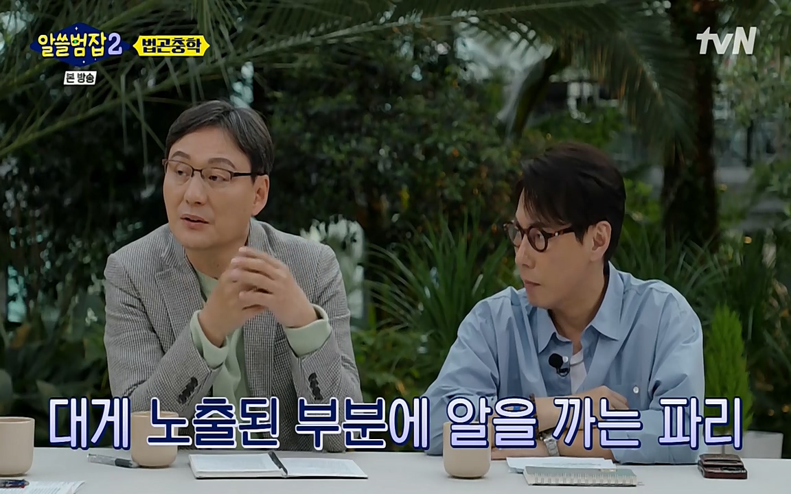 알쓸범잡 2.E15.220425p-NEXT.mp4_20220425_181337.862.jpg