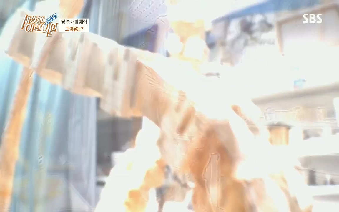 순간포착 세상에 이런일이.E1193.220816.H265p-BULDU.mp4_20220817_204238.813.jpg