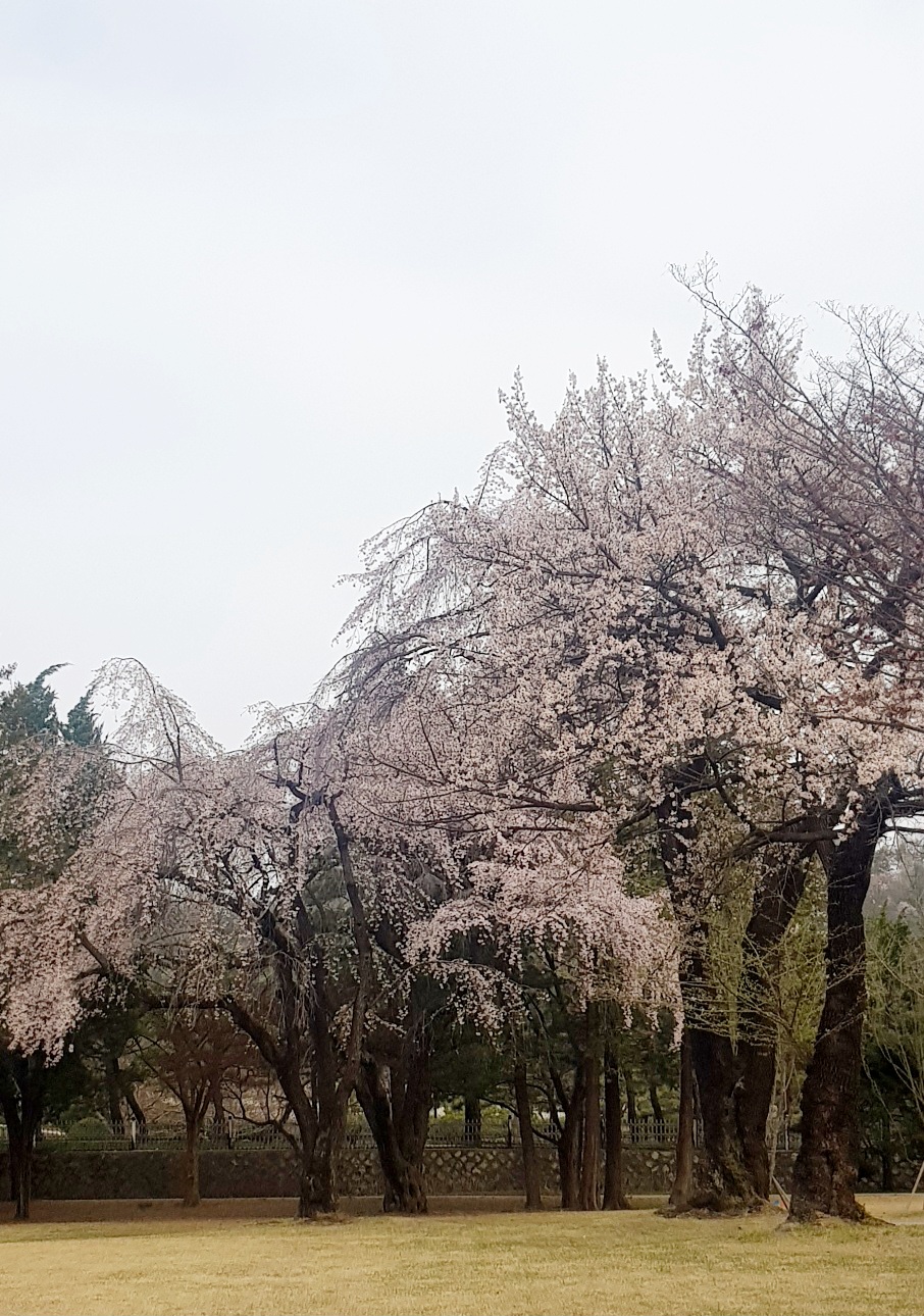 수양 이미지