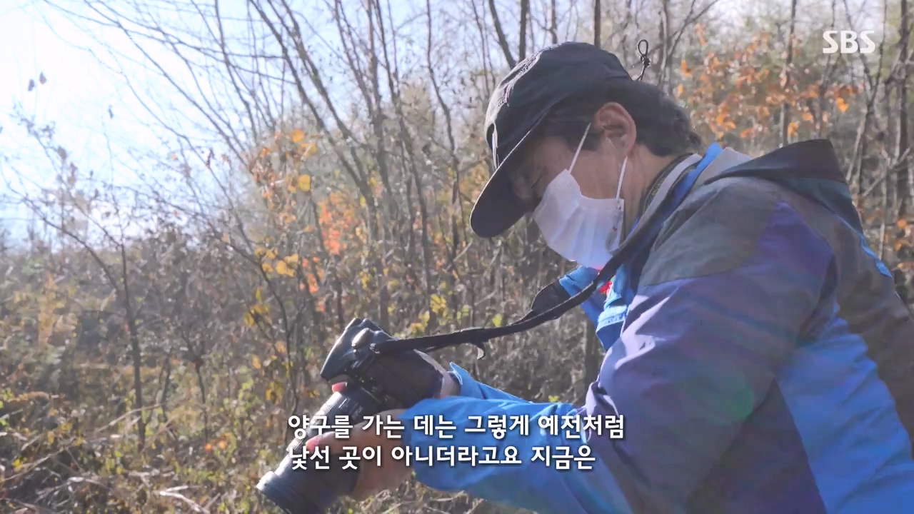 일요특선 다큐멘터리.E344.231204p-NEXT.mp4_20231206_194845.424.jpg