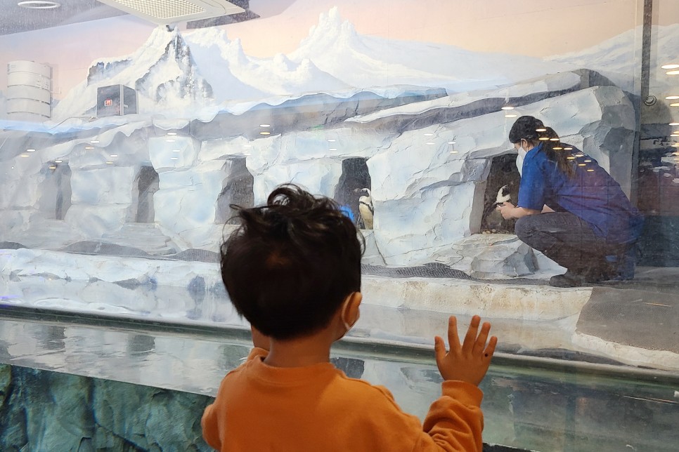 부천 아쿠아리움 부천 아쿠아리움먹이주기 체험 6