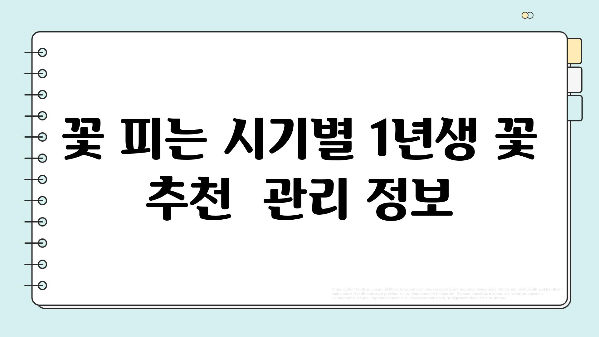 꽃 피는 시기별 1년생 꽃 추천  관리 정보