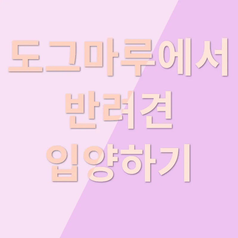 반려견 입양_3