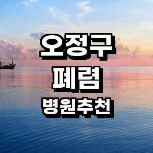 부천 오정구 폐렴