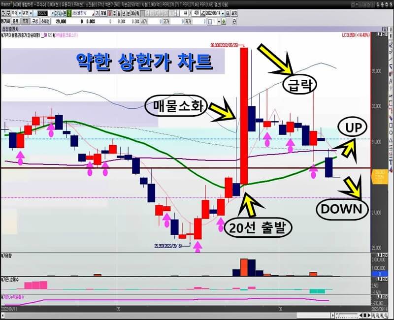 삼성출판사-일-봉-차트