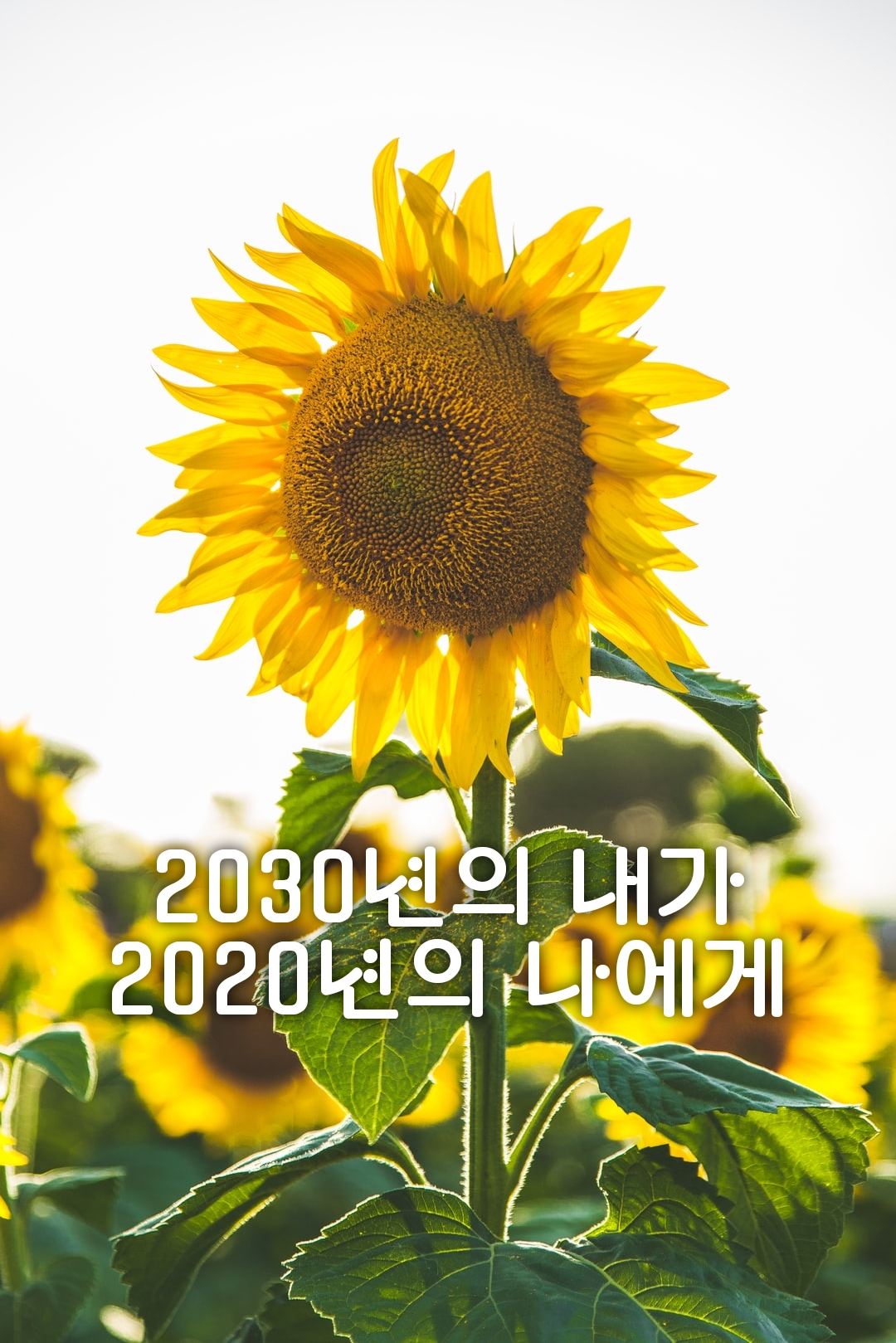  2030년의 내가 2020년의 나에게