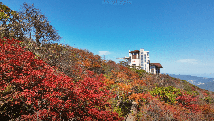 평창단풍명소 발왕산