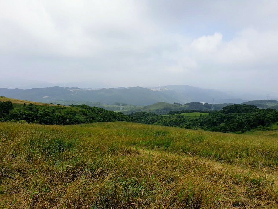  강원도 여행(2020.7.)-(3) 대관령 하늘목장