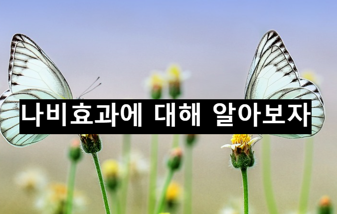  나비효과에 대해서 정리해보자