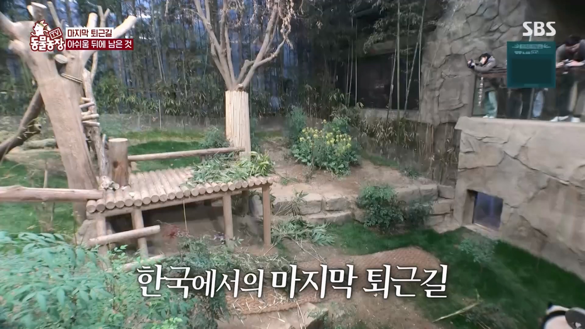 TV 동물농장.E1165.240331p.H264-F1RST.mp4_20240331_144352.209.jpg