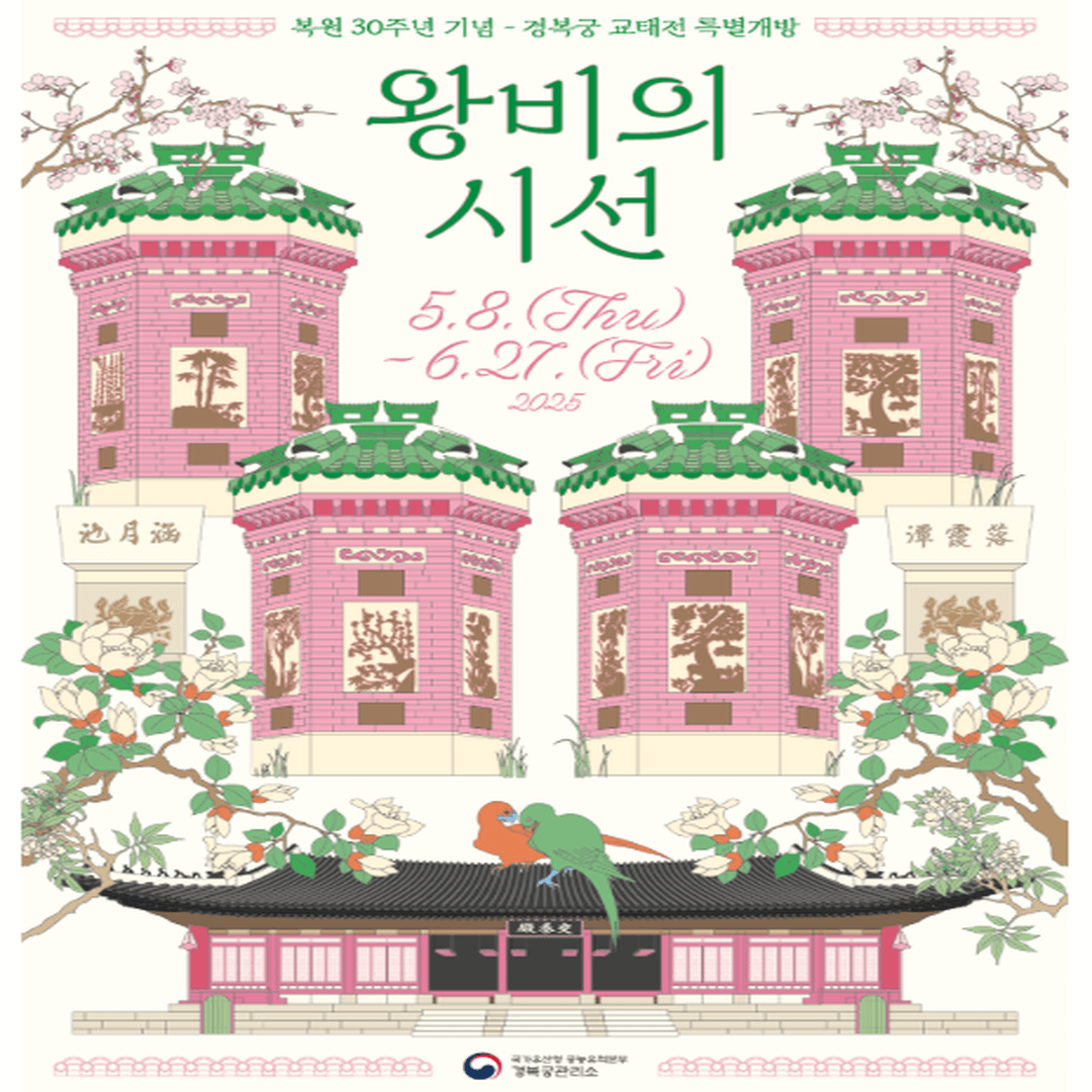 왕비의 시선 썸네일 이미지