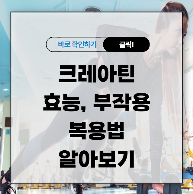 크레아틴 효능 부작용 및 복용법 알아보기