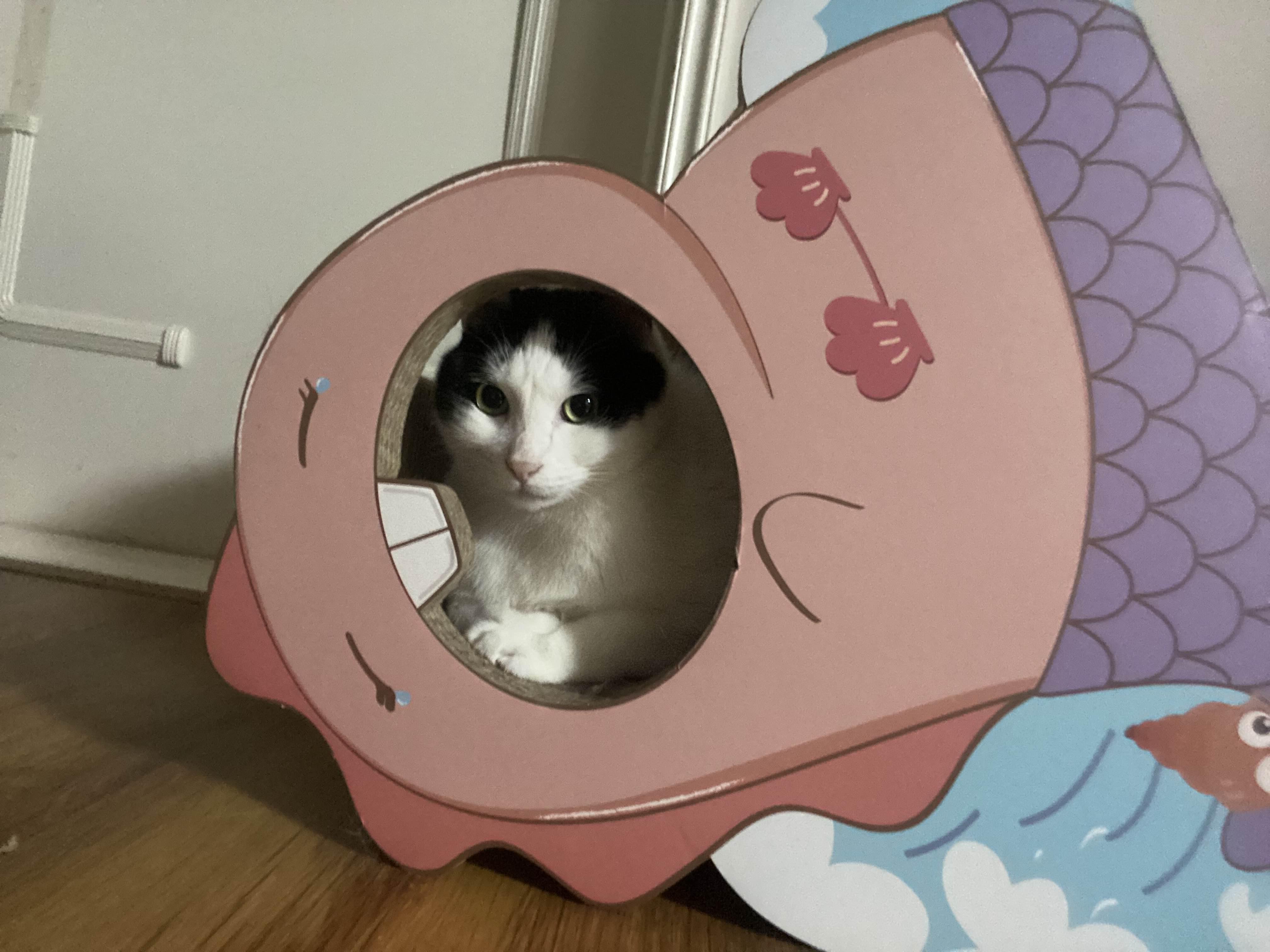 alt 태그