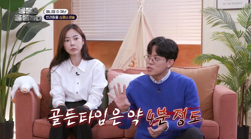반려인들은 알아두면 좋을 만한 정보들...jpg | 인스티즈