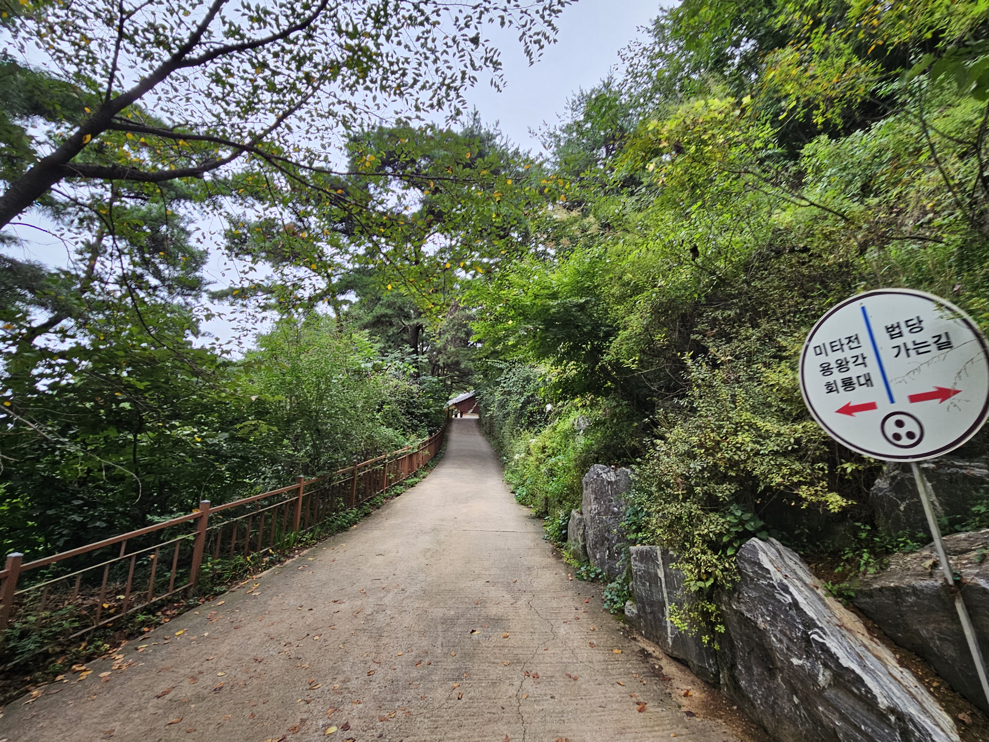 예천 비룡산 장안사와 용왕각 - 일상행복 주식회사 이미지