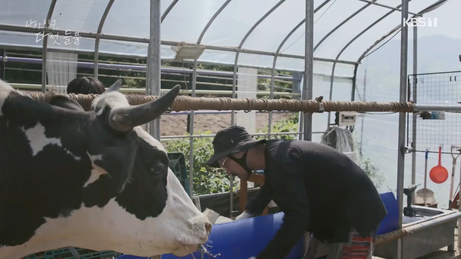 특집 다큐 나의 친구, 다섯 들풀.240119p.H264-F1RST.mp4_20240121_151737.192.jpg