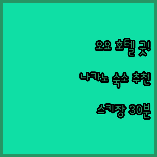 가성비 끝판왕 오요 호텔? 신슈 나카