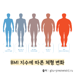 BMI-지수-계산법
