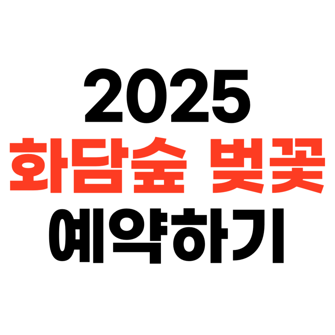 2025년 화담숲 벚꽃 개화 시즌 예약 팁 총정리