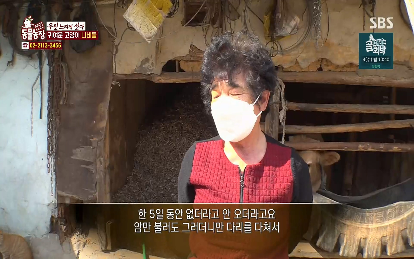 TV 동물농장.E1067.220501p.H264-F1RST.mp4_20220501_183653.812.jpg