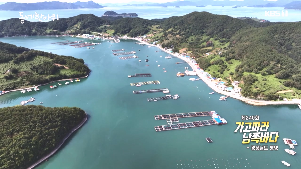 동네 한 바퀴.E243.231015p-NEXT.mp4_20231015_184158.135.jpg