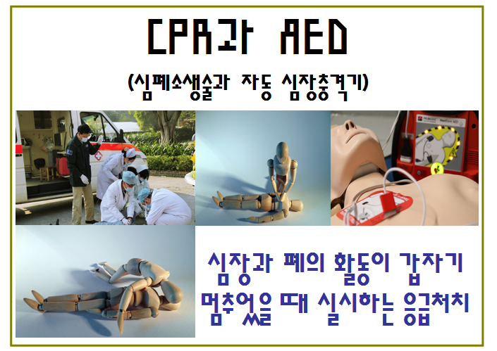 CPR(һ) & AED(ڵ ݱ)