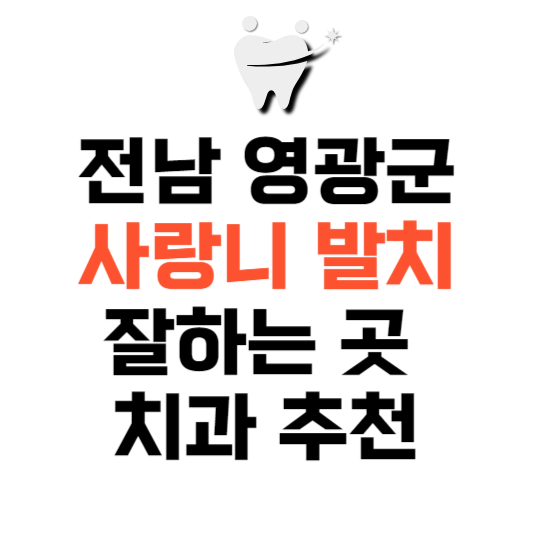 전남 영광군 사랑니 치과 발치 잘하는 곳 추천 매복 가격 비용.png