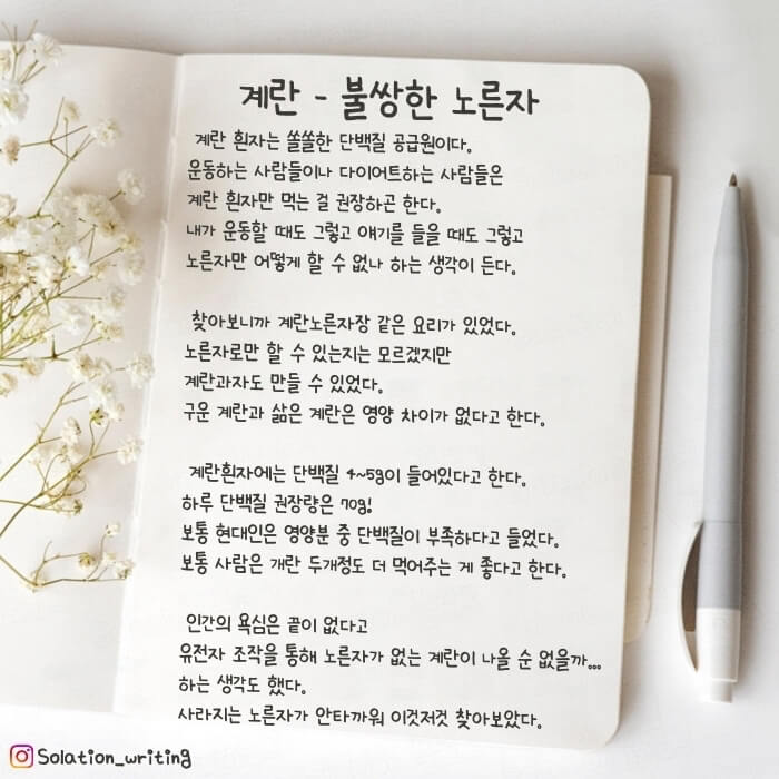 계란 불쌍한 노른자