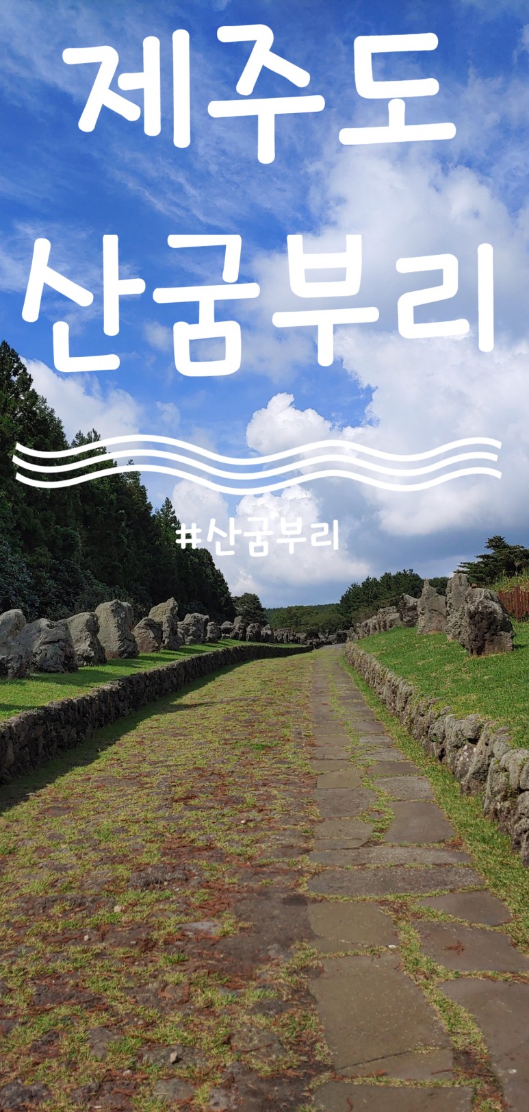  제주 산굼부리 분화구 산굼부리 탐방에 관한 모든것
