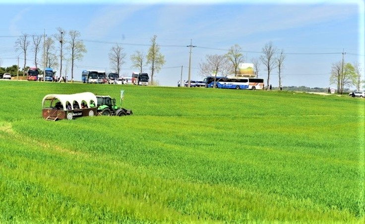 청보리축제_2023 고창청보리밭축제 14