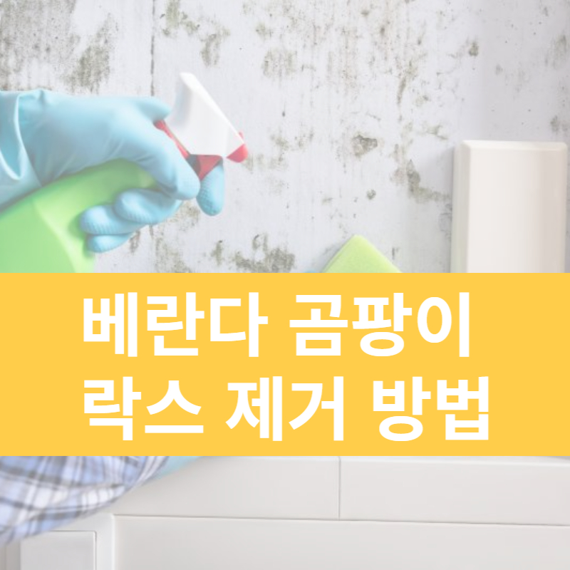 곰팡이 제거법