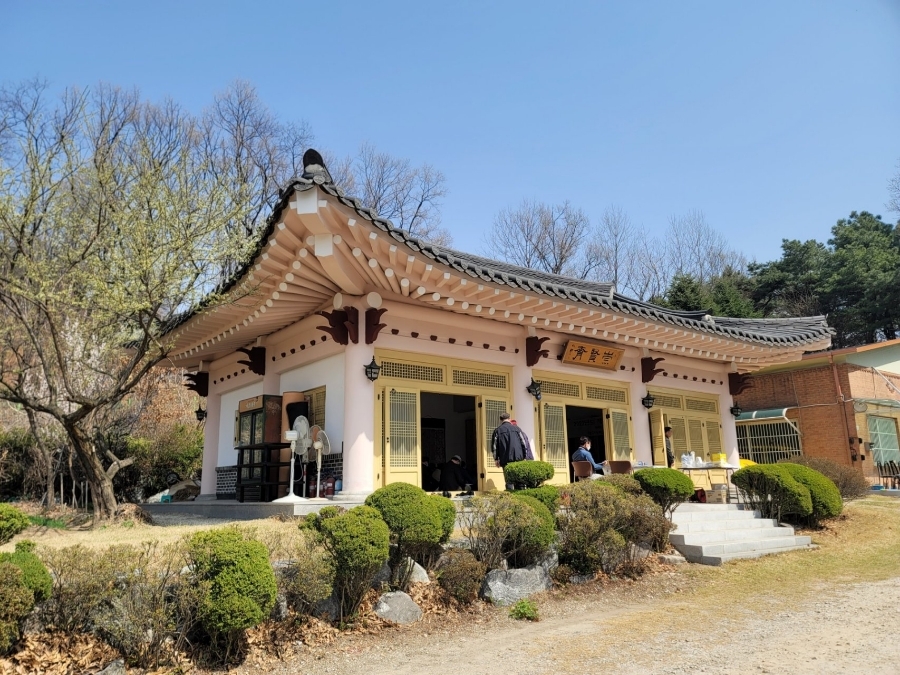  예비후보자의 하루, #포천5일장 #선단동_농가_못자리