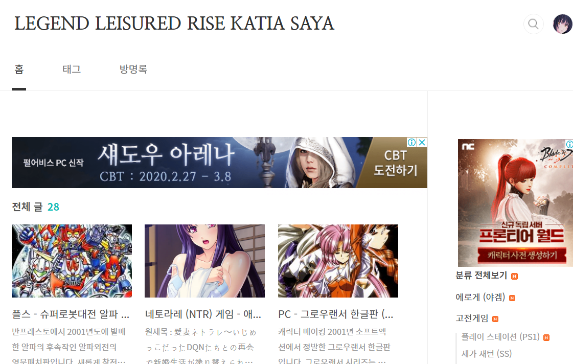  블로그 구글 애드센스도 유튜브 마냥 노딱이 존재하나보다