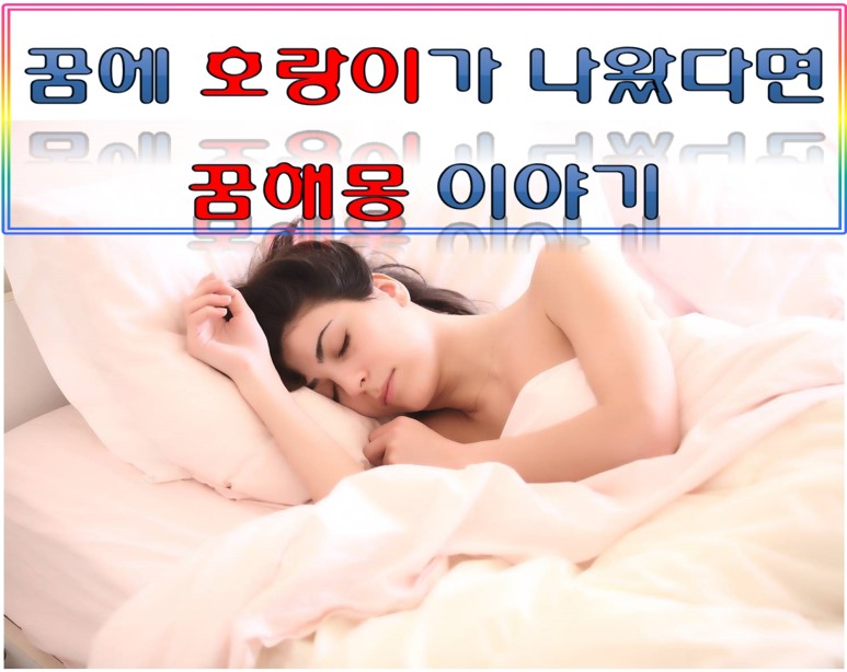 상황별로 정리했어요 호랑이꿈 꿈해몽 1