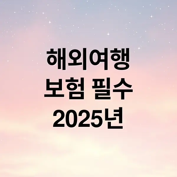 해외 여행보험 필수