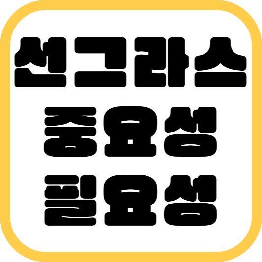 선그라스의 중요성과 필요성