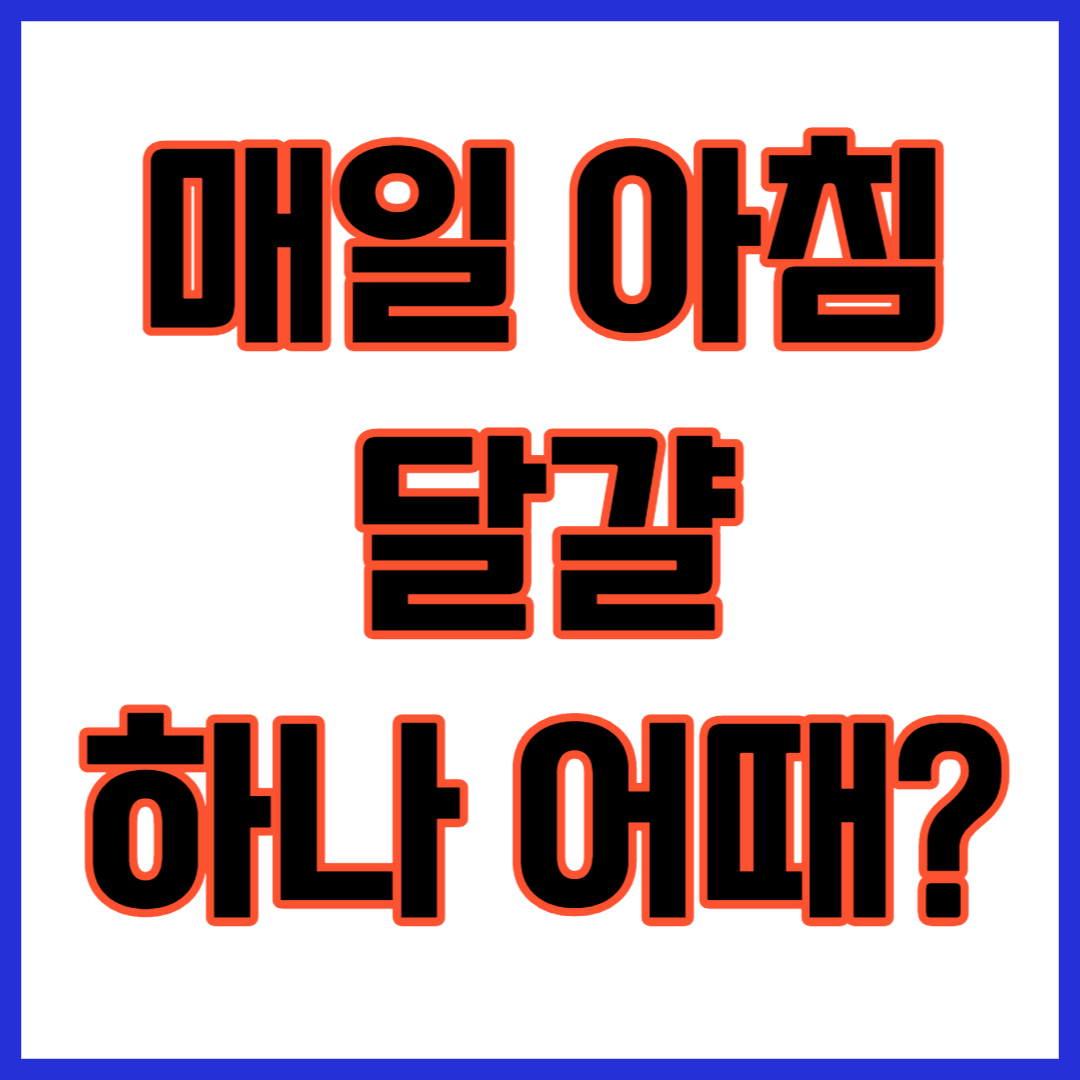  매일 아침 달걀 하나 어때?