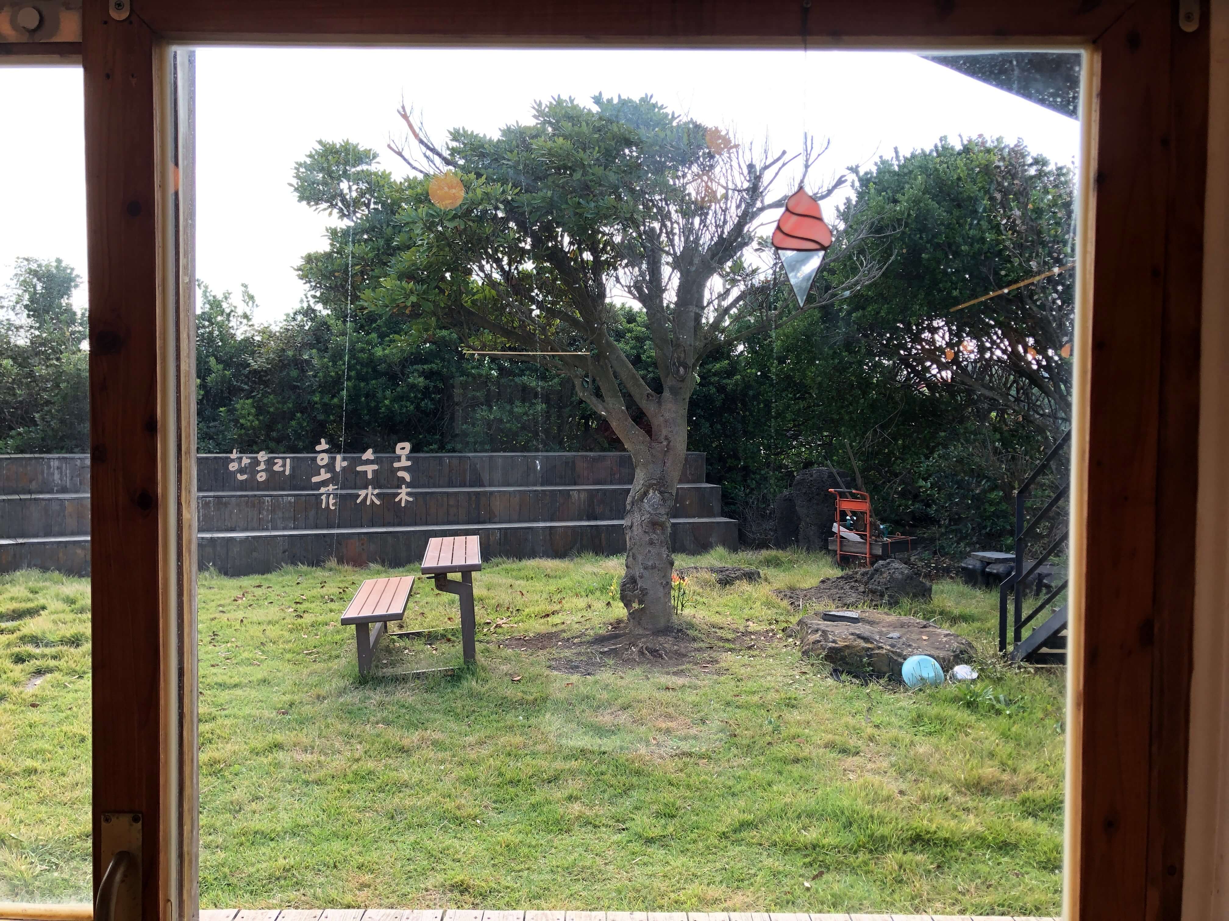 한동리 화수목&amp;#44; 실내에서 창문을 통해 바라다보이는 정원. 중간 크기의 나무가 한 그루 있고&amp;#44; 그 앞에 작은 벤치가 놓여있다.