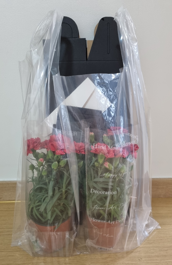  어버이날 기념 선물 추천 생화 카네이션 세트 후기