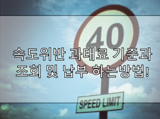  속도위반 과태료 기준과 조회 및 납부 방법