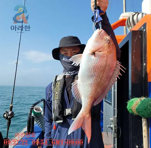 아라한호