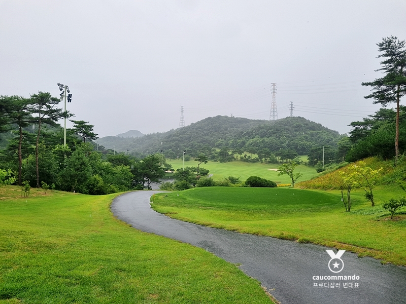 연예인 골프 순위 연예인들이 참여하는 14