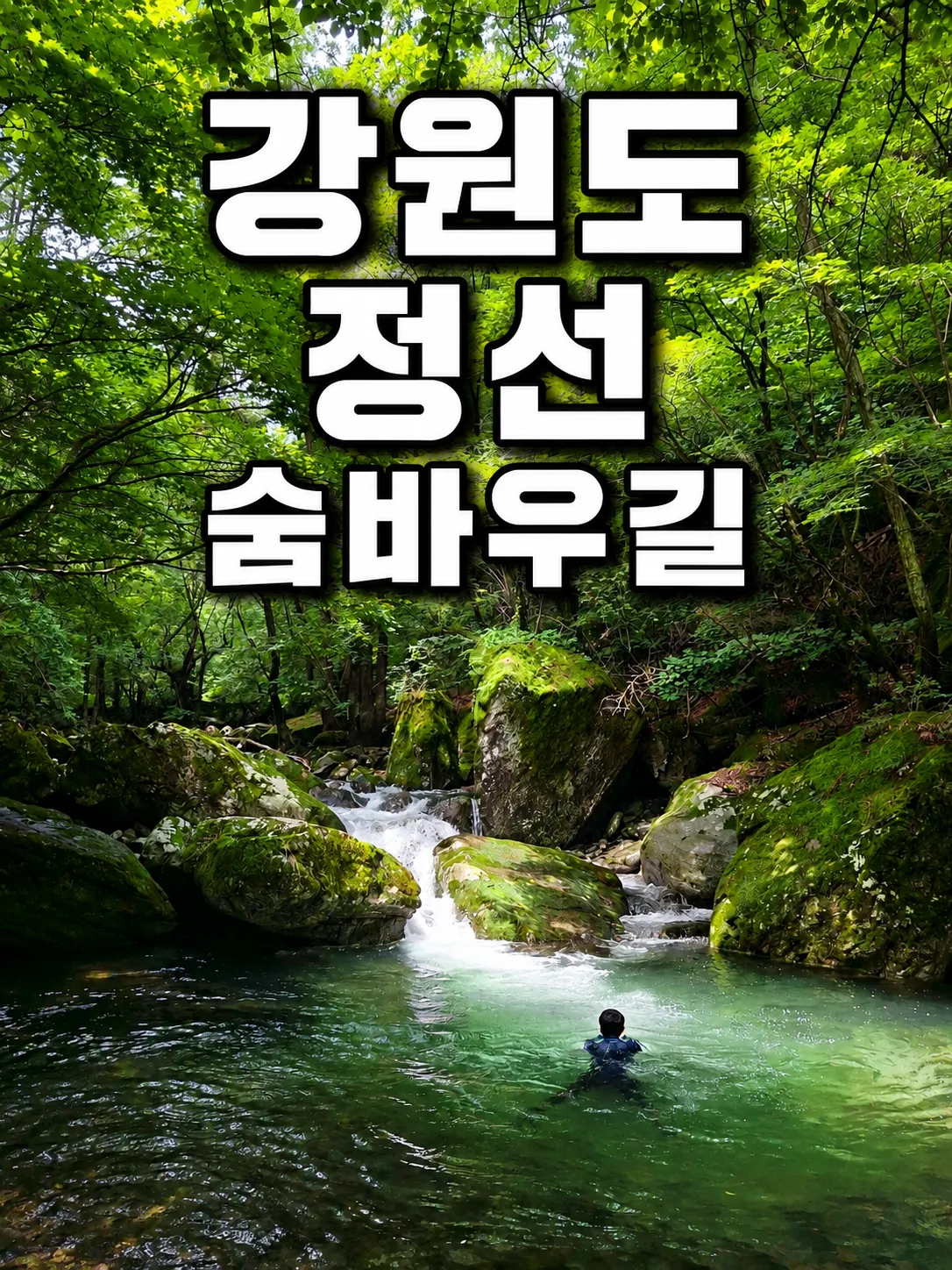 강원도 정선 숨바우길 코스 시간 교통 투어