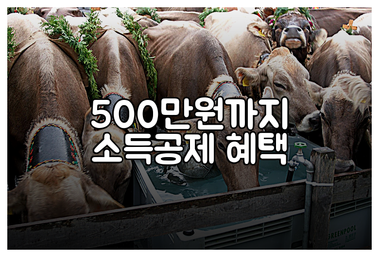 500만원까지 소득공제 혜택